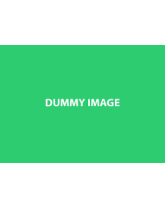 dummy